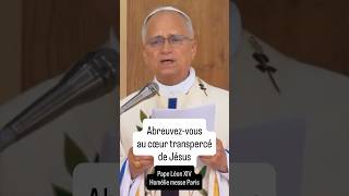 “Abreuvez - Vous À La Source Qu’est Le Coeur De Jésus Transpercé”. Homélie Du Pape Léon Xiv À Paris.