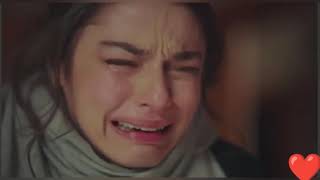 تامر عاشور بقول عادي                            سمعها