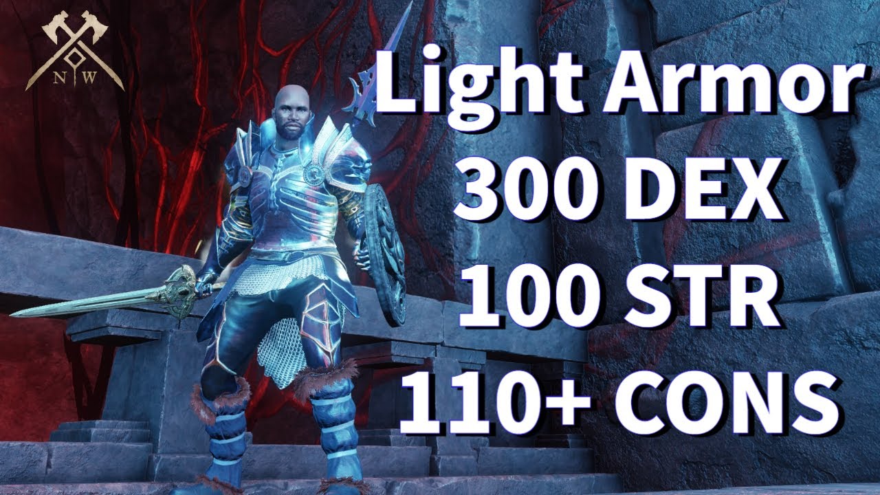 300 DEX, 100 STR, 110+ CONS, Sword/Shield & Spear, with Light Armor ...