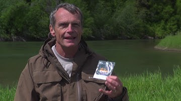 InTouch Long MOW Tips