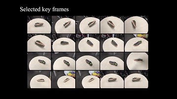 Online Global Non-rigid Registration for 3D Object Reconstruction Using Consumer-level Depth Cameras