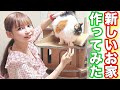 猫に新しいお家を作りました!超巨大キャットタワー!