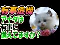 【有事危機】アナタは有事に備えてますか？