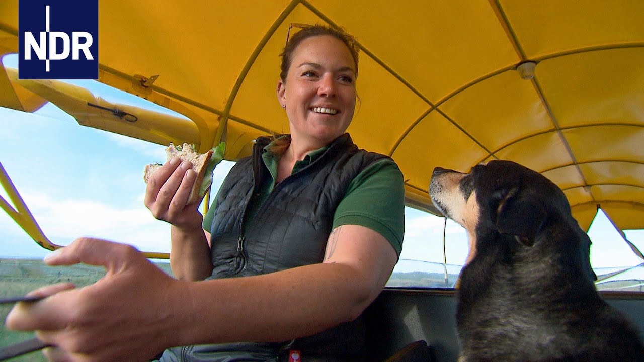 Ostfriesische Inseln: Mit Herzblut durch die Hochsaison | die nordstory | NDR Doku