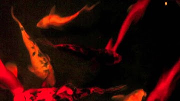 Monolyth & Cobalt - Tyrinch