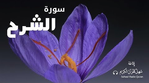 (94) تـلاوة مكررة للحفظ  سورة " الشرح "  يتلوهـا القارئ | اسلام  صبحي