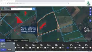 NDVI Visualization Datafarming