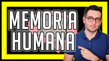 ¿Cuáles son los 3 tipos de memoria?