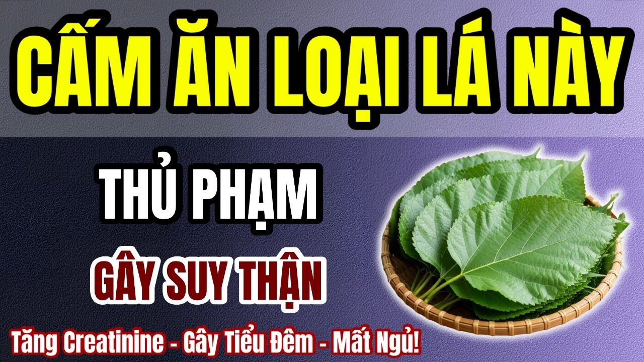 Người Cao Tuổi Thận Yếu, Cấm Ăn 7 Loại Lá Dân Gian Này — Làm Tăng Creatinine, Gây Tiểu Đêm, Mất Ngủ!