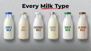 Every Milk Type Explained in 9 Minutes