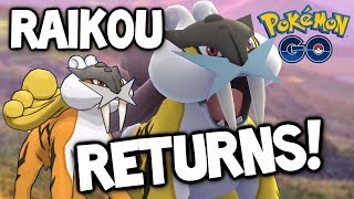 RAIKOU RETURNS: Why you NEED to get *RAIKOU* in Pokémon GO!