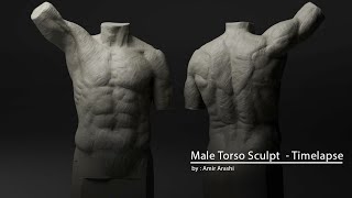 Male Torso Sculpt - Timelapse Male Torso Sculpt - Timelapse