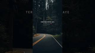 Download Lagu Tere sang guzar jaye..💞🥀 || Mujhko barsaat bana lo song status || MP3