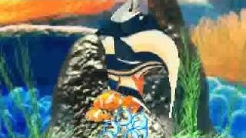 Finding Nemo: The Continuing Adventures (GBA) Gill