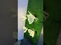 Custom 3D Acrylic LED Butterfly Light | Dynamic Freestanding Lamp for Outdoor Weddings & Events