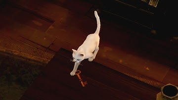 Stray Cat Thief 🐈 Gameplay iOS,Android All Levels #1