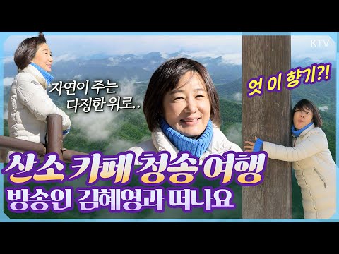 자연과 역사가 어우러진 청송의 매력 #<strong>청송사과</strong> #주산지