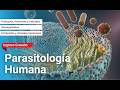 🔴 CURSO: PARASITOLOGÍA HUMANA ǀ COMPLETO Y GRATIS (2026) ✅ PARTE 2