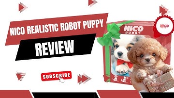 Nico Realistic Robot Puppy Review | Scam or Legit AI Pet?