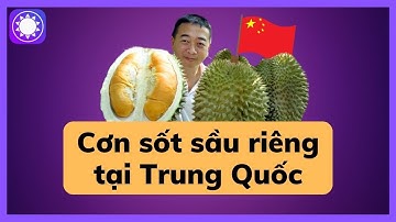 “Cơn sốt” tiêu thụ sầu riêng tại Trung Quốc