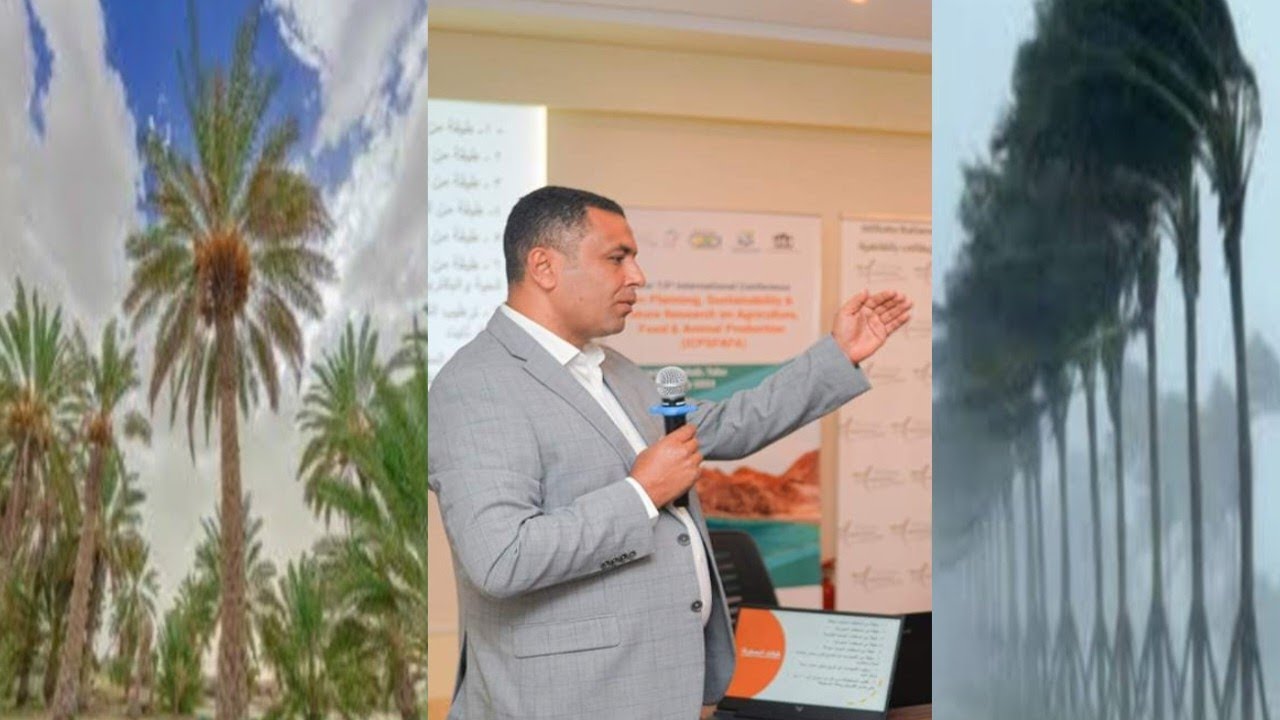 تاثير العوامل الجوية(دراجات الحرارة _الامطار_ الرياح _الرطوبة النسبة) علي زراعة النخيل وجودة الثمار