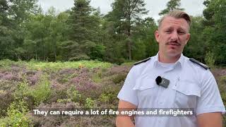 Play your part in preventing wildfires