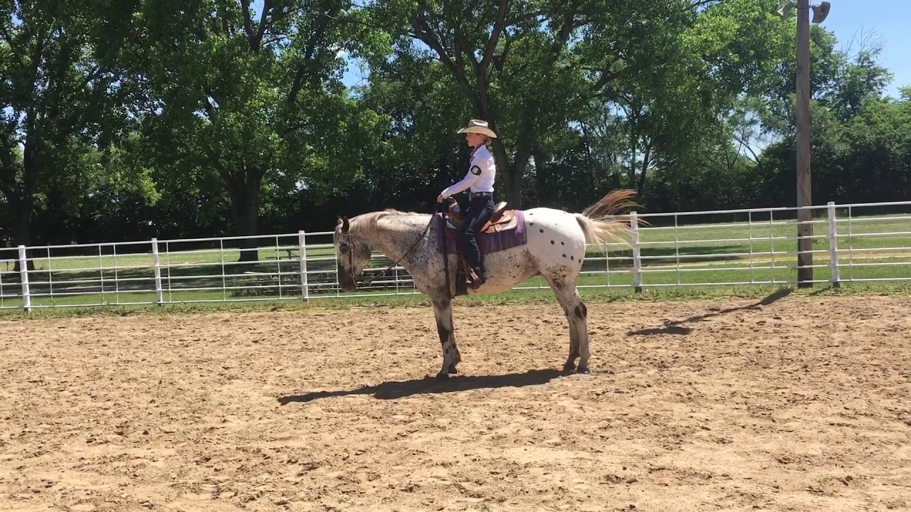 Western Pleasure, Senior, Emmi Dearmont, Lancaster - YouTube