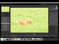 Lightroom tips - Basic Editing with Dave Anderson