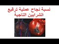 ما هي نسبة نجاح عملية ترقيع الشرايين التاجية نسب نجاح عمليات تغيير مسار شرايين القلب او مجازة