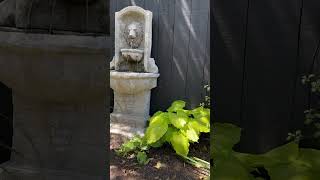 Black fence! Still one of my favorite projects. Use a paint sprayer & this paint in the color slate.