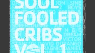 Salvatore Freda - Insane Truth - Soulfooled Cribs Vol.1