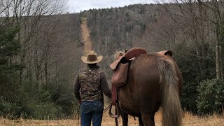 West Virginia Horseback Mountain Ride (STEEP!!!)