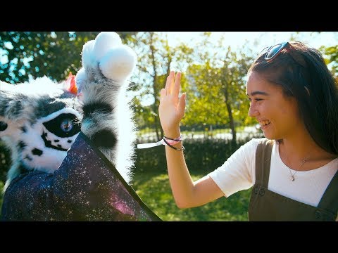 DVA3 na Advíku 2017!