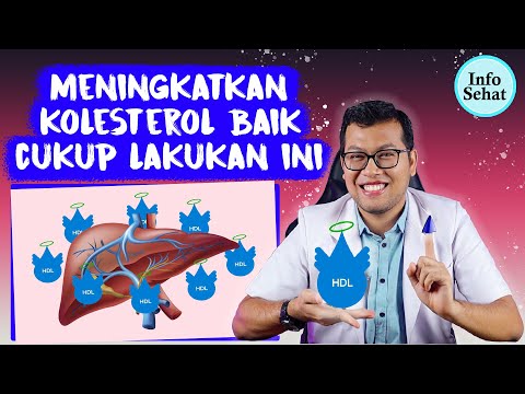 Video: Mengapa hdl penting untuk mereka bentuk?