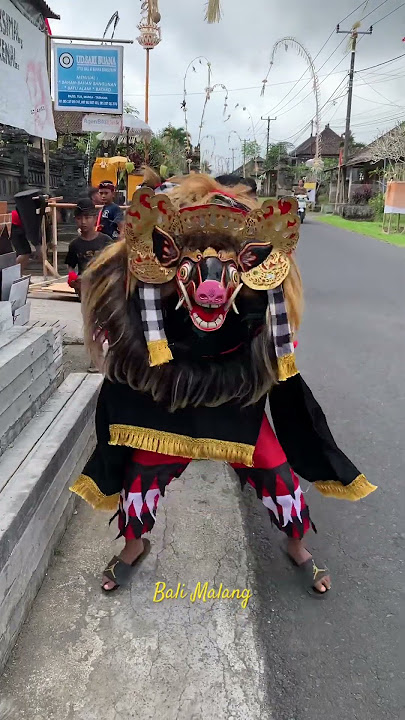 BARONG BANGKUNG ALIT ALIT DESA BARU TABANAN