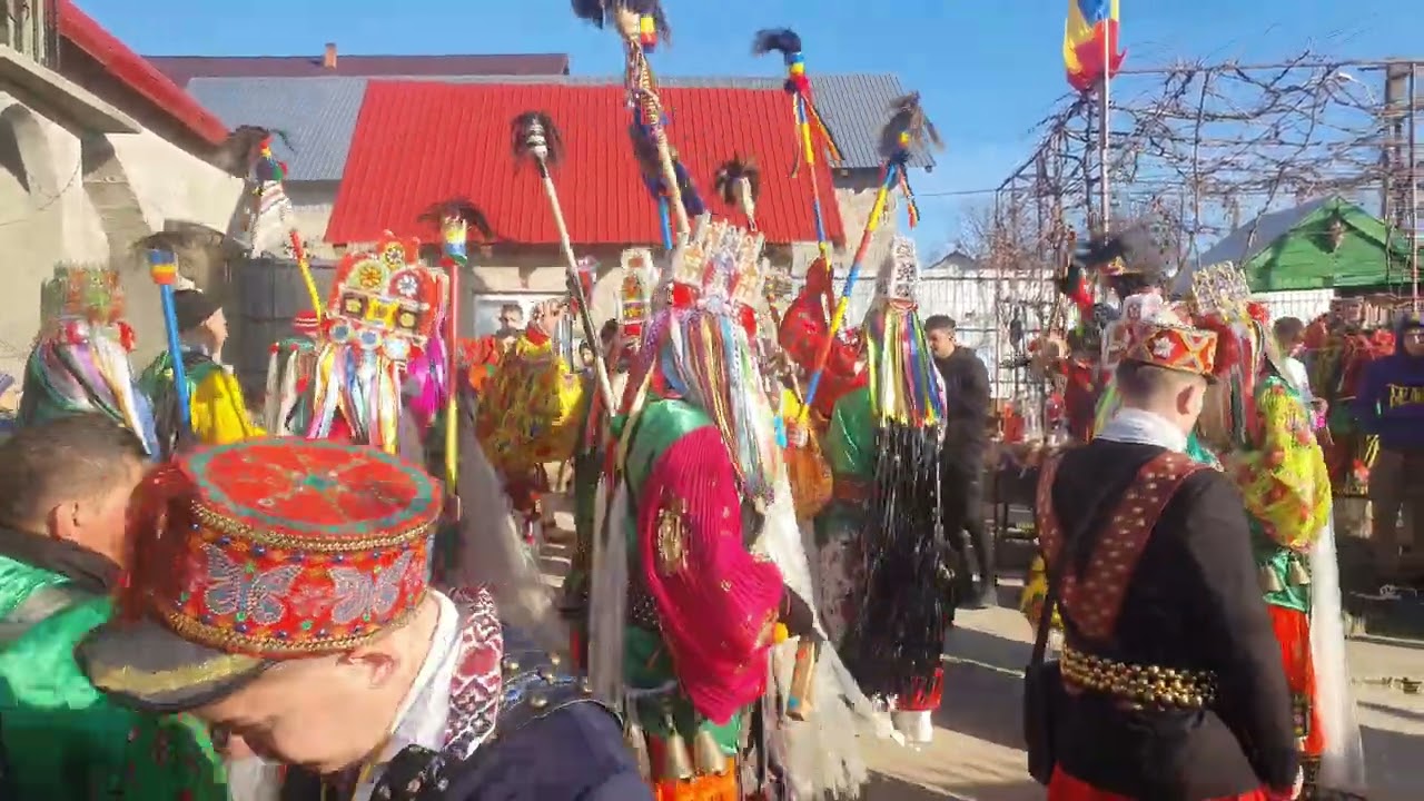 Malanca Harmanestii Vechi  2023-2024