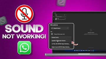 Hoe je het probleem met het niet-werkende geluid op WhatsApp PC kunt oplossen | Problemen met het...