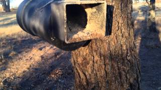 Pollen feeder part 1