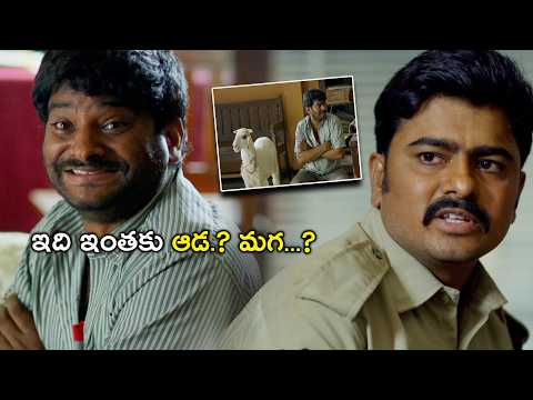 ఇది ఇంతకు ఆడ..? మగ...? | Gorre Puranam Telugu Movie Scene | Suhas | Vishika Kota
