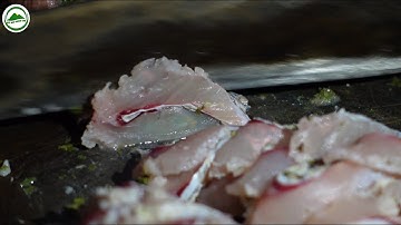 THƯỞNG THỨC MÓN GỎI CÁ TRẮM CỦA NGƯỜI THÁI NGHỆ AN