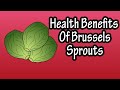 Discover the Amazing Health Benefits of Brussels Sprouts 🥦