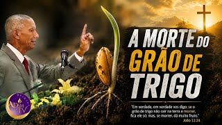 Pr José Carlos de Lima | O GRÃO DE TRIGO : TEM QUE M0RR3R
