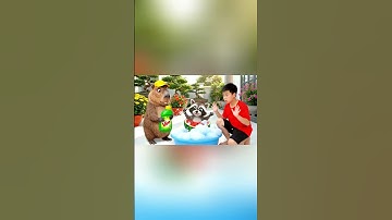 Capybara cùng anh giúp bà tắm Raccooni Watermelunni và cái kết #capybara