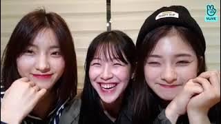 fromis_9 V-Live Eng Sub