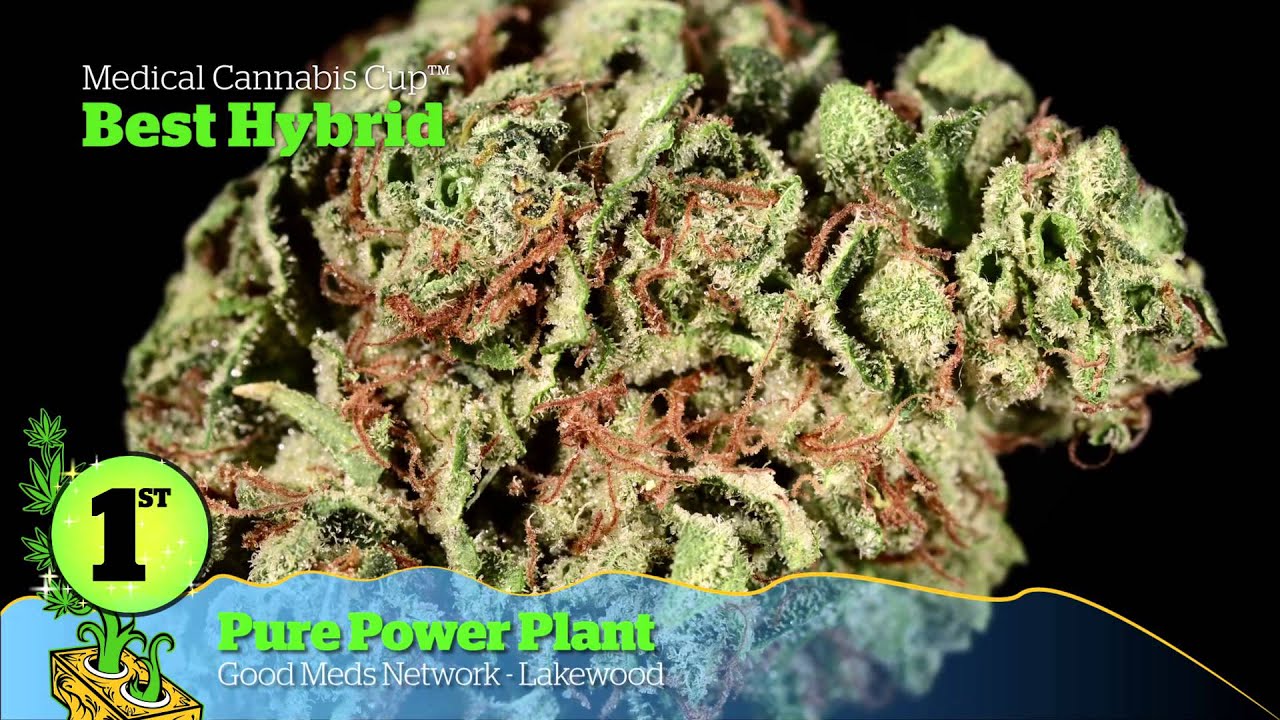 2014 HIGH TIMES Denver US Cannabis Cup Award Winners