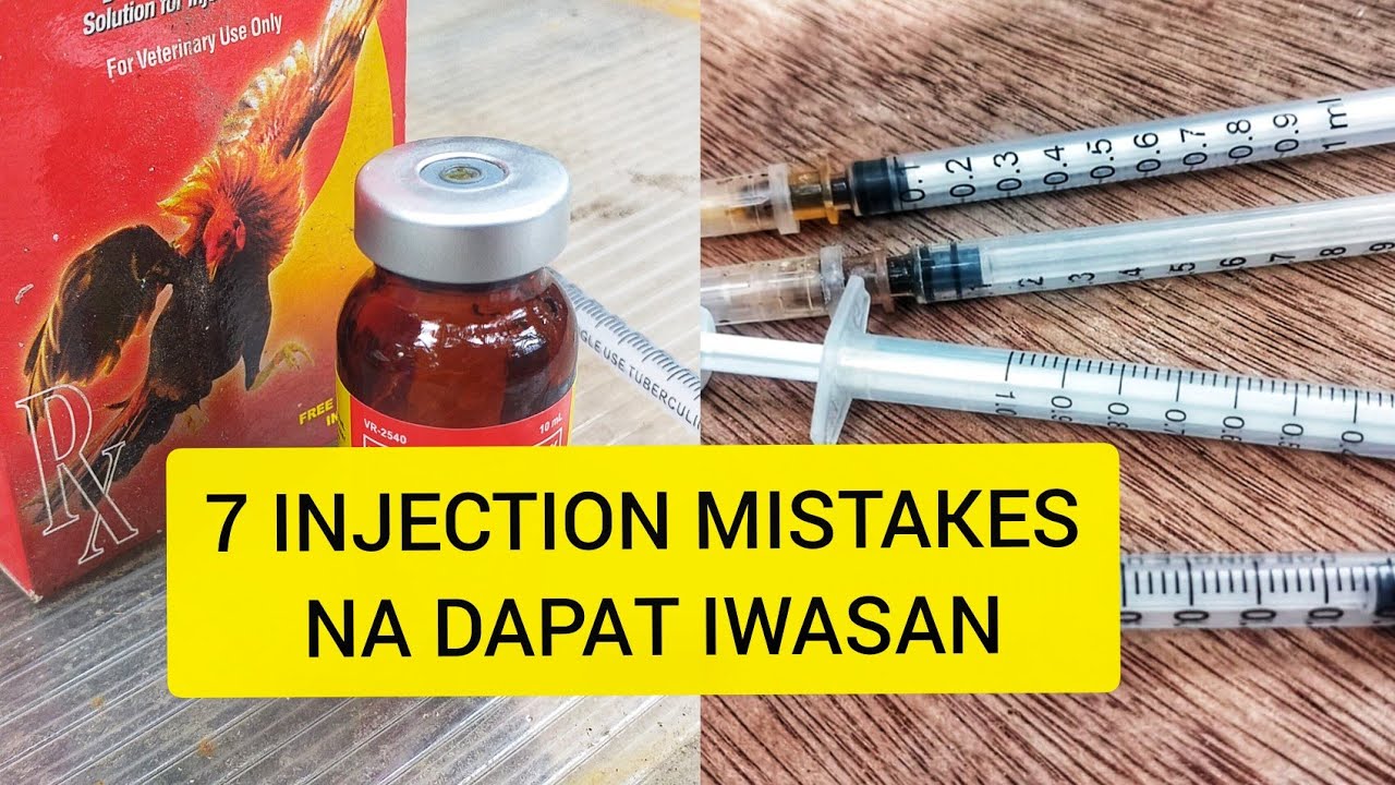 7 INJECTION MISTAKES NA DAPAT IWASAN NG MGA BAGUHANG MAGMAMANOK