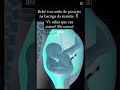 💖 Você sabe como o seu Bebê se movimenta na Barriga? Mp3 Song