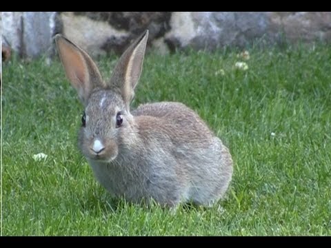 Nail Tools Biggest Nail Art Supplies Range In Australia