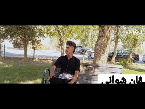 شڤان شوانی 2022