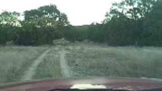LandsofAmerica.com: 247 acres in Texas